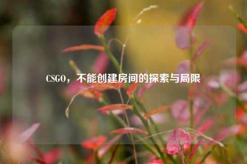 CSGO,不能创建房间的探索与局限