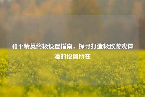 和平精英终极设置指南,探寻打造极致游戏体验的设置所在