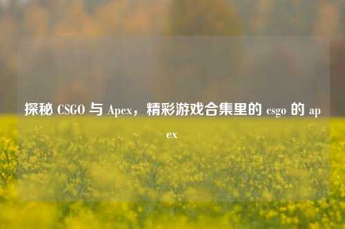 探秘 CSGO 与 Apex,精彩游戏合集里的 csgo 的 apex