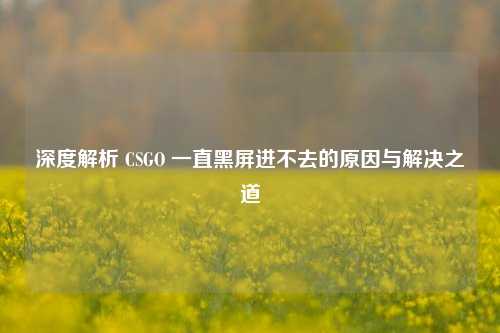 深度解析 CSGO 一直黑屏进不去的原因与解决之道