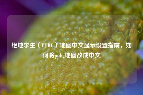 绝地求生（PUBG）地图中文显示设置指南，如何将pubg地图改成中文