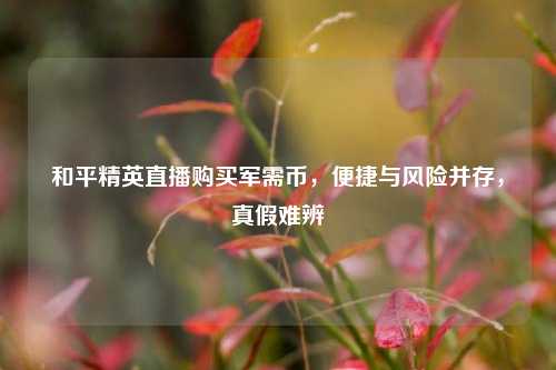 和平精英直播购买军需币,便捷与风险并存,真假难辨