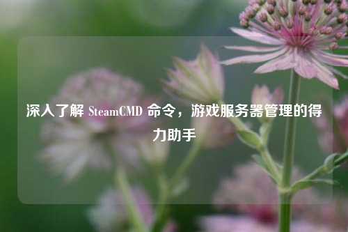 深入了解 SteamCMD 命令,游戏服务器管理的得力助手