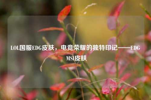 LOL国服EDG皮肤，电竞荣耀的独特印记——EDG MSI皮肤