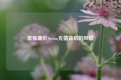 警惕廉价Steam充值背后的风险