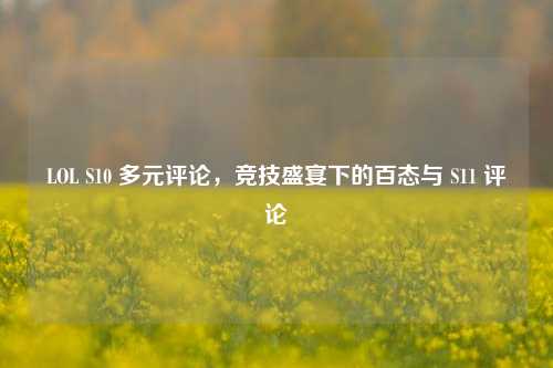 LOL S10 多元评论,竞技盛宴下的百态与 S11 评论