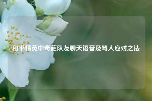 和平精英中奇葩队友聊天语音及骂人应对之法