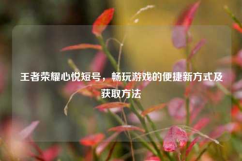 王者荣耀心悦短号，畅玩游戏的便捷新方式及获取方法