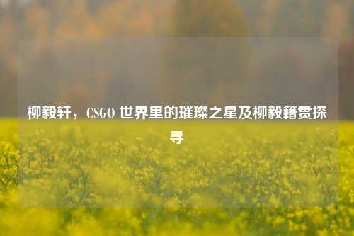 柳毅轩，CSGO 世界里的璀璨之星及柳毅籍贯探寻