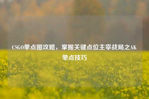 CSGO单点图攻略,掌握关键点位主宰战局之AK单点技巧