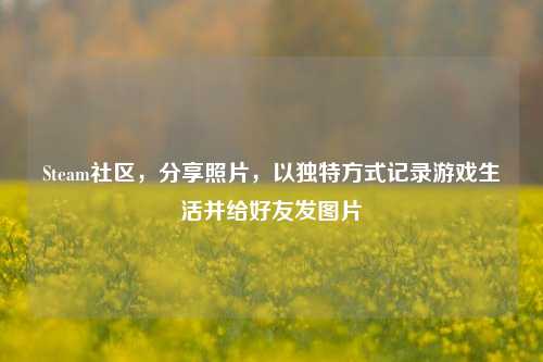 Steam社区，分享照片，以独特方式记录游戏生活并给好友发图片
