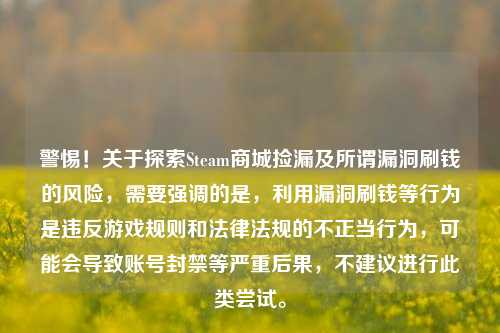 警惕!关于探索Steam商城捡漏及所谓漏洞刷钱的风险,需要强调的是,利用漏洞刷钱等行为是违反游戏规则和法律法规的不正当行为,可能会导致账号封禁等严重后果,不建议进行此类尝试。