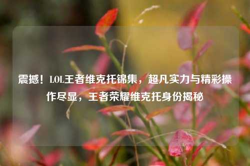 震撼!LOL王者维克托锦集,超凡实力与精彩操作尽显,王者荣耀维克托身份揭秘