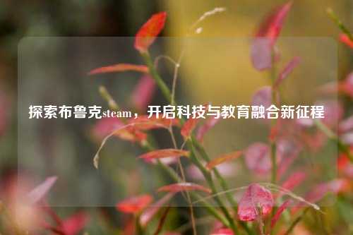 探索布鲁克steam,开启科技与教育融合新征程