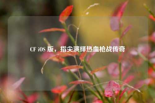 CF iOS 版,指尖演绎热血枪战传奇