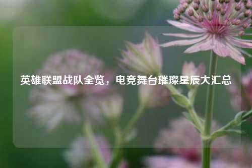 英雄联盟战队全览,电竞舞台璀璨星辰大汇总