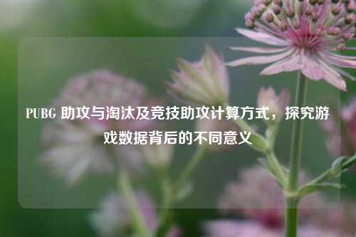 PUBG 助攻与淘汰及竞技助攻计算方式,探究游戏数据背后的不同意义