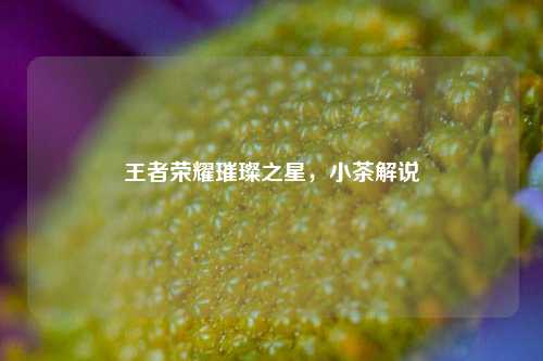 王者荣耀璀璨之星，小茶解说