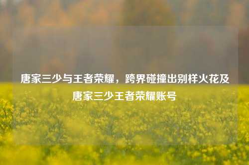 唐家三少与王者荣耀，跨界碰撞出别样火花及唐家三少王者荣耀账号