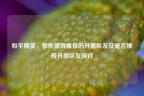 和平精英，那些值得推荐的开黑队友及是否推荐开黑队友探讨