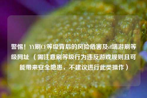 警惕!YY刷CF等级背后的风险危害及cf端游刷等级网址 (需注意刷等级行为违反游戏规则且可能带来安全隐患,不建议进行此类操作)