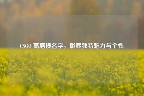 CSGO 高磨损名字，彰显独特魅力与个性