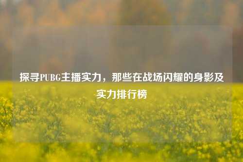 探寻PUBG主播实力,那些在战场闪耀的身影及实力排行榜