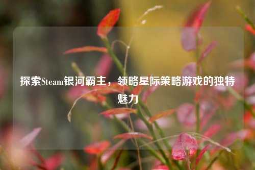探索Steam银河霸主，领略星际策略游戏的独特魅力