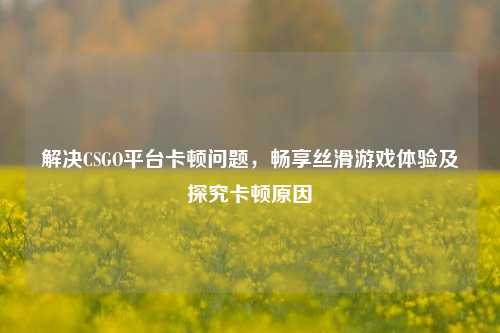 解决CSGO平台卡顿问题,畅享丝滑游戏体验及探究卡顿原因
