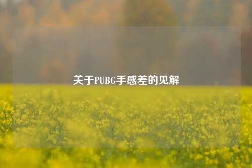 关于PUBG手感差的见解
