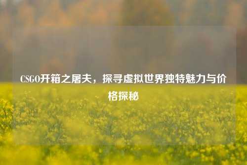 CSGO开箱之屠夫,探寻虚拟世界独特魅力与价格探秘