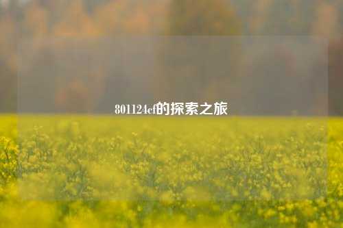 801124cf的探索之旅