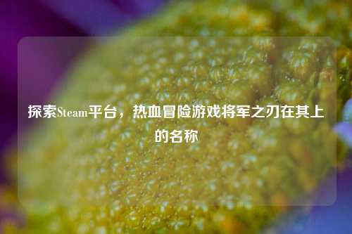探索Steam平台,热血冒险游戏将军之刃在其上的名称