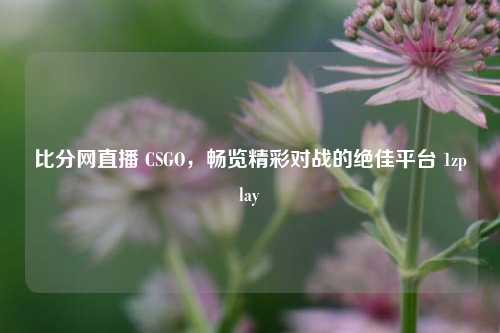 比分网直播 CSGO,畅览精彩对战的绝佳平台 1zplay