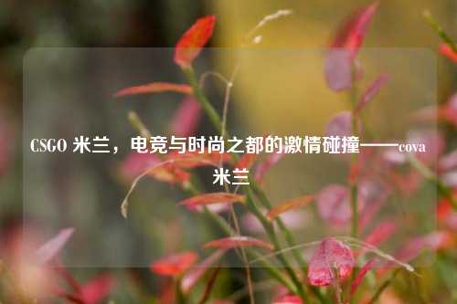 CSGO 米兰,电竞与时尚之都的激情碰撞——cova 米兰