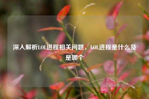 深入解析LOL进程相关问题，LOL进程是什么及是哪个