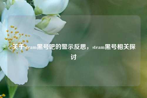 关于steam黑号吧的警示反思,steam黑号相关探讨