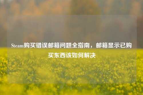 Steam购买错误邮箱问题全指南，邮箱显示已购买东西该如何解决