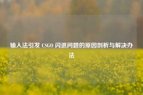 输入法引发 CSGO 闪退问题的原因剖析与解决办法