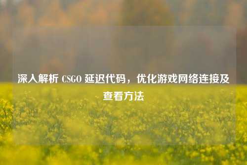 深入解析 CSGO 延迟代码，优化游戏网络连接及查看方法