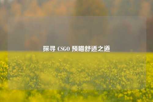 探寻 CSGO 预瞄舒适之道