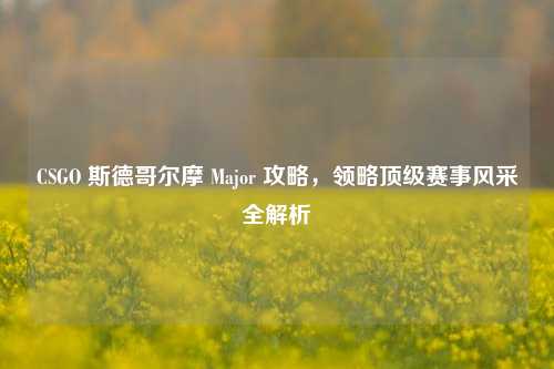 CSGO 斯德哥尔摩 Major 攻略，领略顶级赛事风采全解析