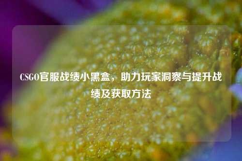 CSGO官服战绩小黑盒,助力玩家洞察与提升战绩及获取方法