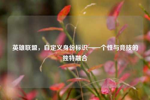 英雄联盟，自定义身份标识——个性与竞技的独特融合