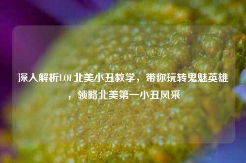 深入解析LOL北美小丑教学,带你玩转鬼魅英雄,领略北美第一小丑风采