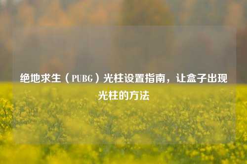 绝地求生(PUBG)光柱设置指南,让盒子出现光柱的方法