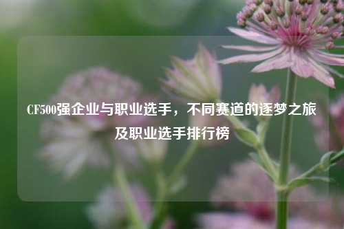 CF500强企业与职业选手，不同赛道的逐梦之旅及职业选手排行榜