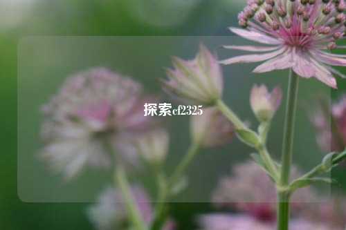 探索cf2325