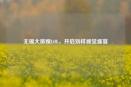 无锡大屏观LOL，开启别样视觉盛宴