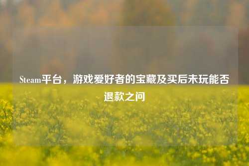 Steam平台，游戏爱好者的宝藏及买后未玩能否退款之问